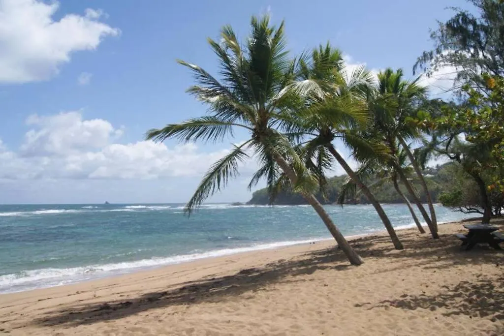 Charmant Studio Bord De Mer Tartane Martinique
