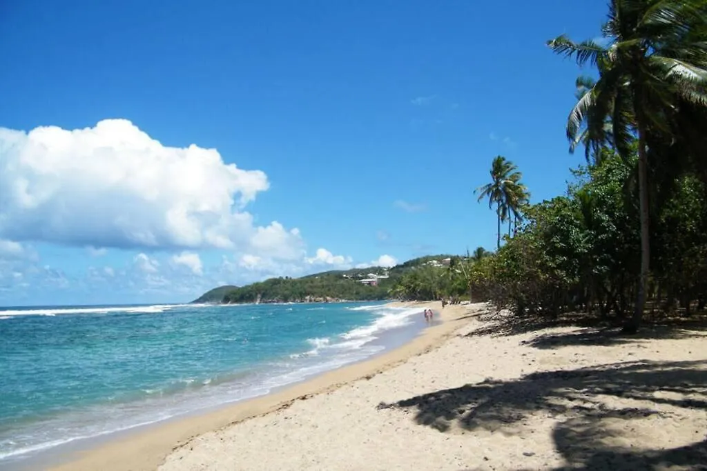 Apartment Charmant Studio Bord De Mer Tartane Martinique